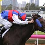 Black Type target for Soho Ruby Black Type target for Soho Ruby
